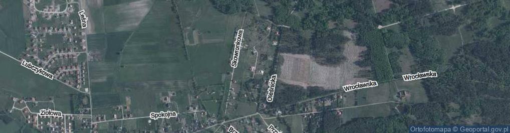 Zdjęcie satelitarne Krucza ul.